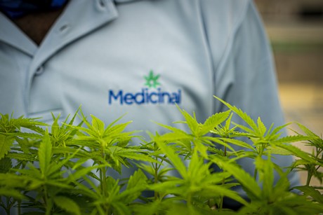 medicinal_full